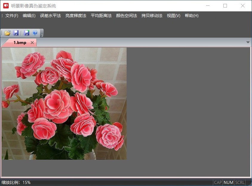 亚洲必赢影像真伪判断系统