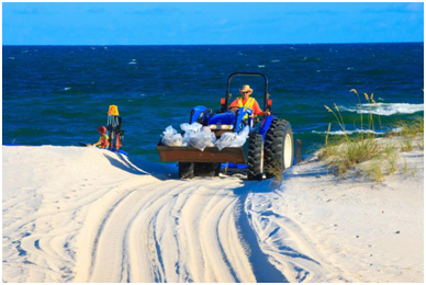 亚洲必赢影像真伪判断系统